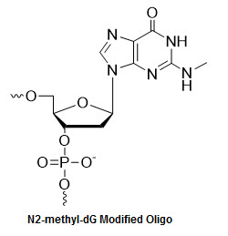 Bio-Synthesis Inc. Oligo Structure